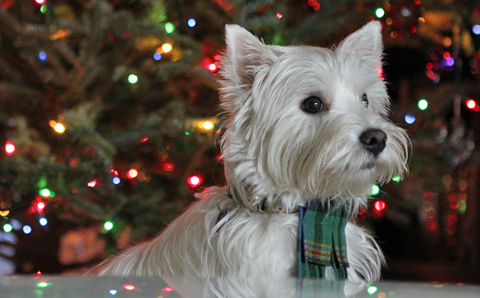 All the best to you and yours, from pipes|drums Magazine!