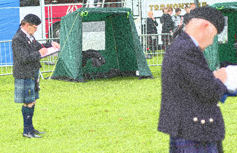 PPBSO surveys bands on consultative judging