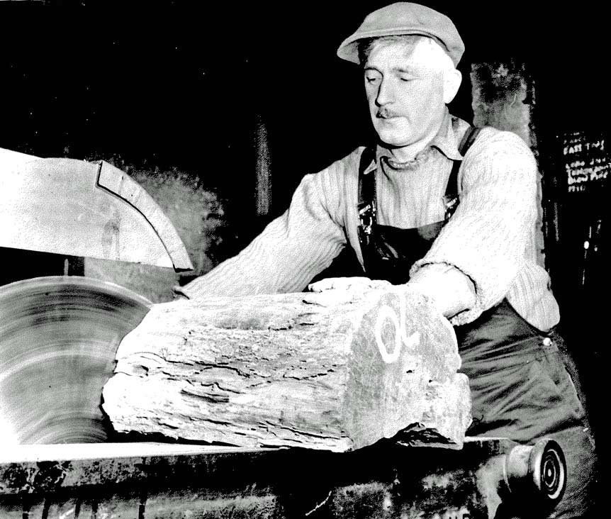 John Weatherston saws an African blackwood log some time in the 1960s.
