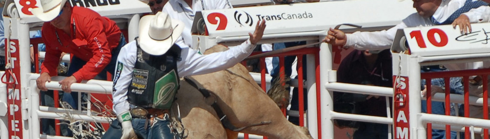 Calgary Stampede band forming for Canada 150