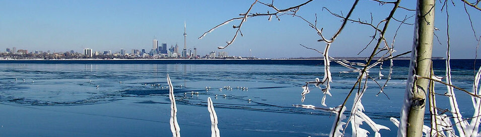 Toronto Knockout moves north due to cold