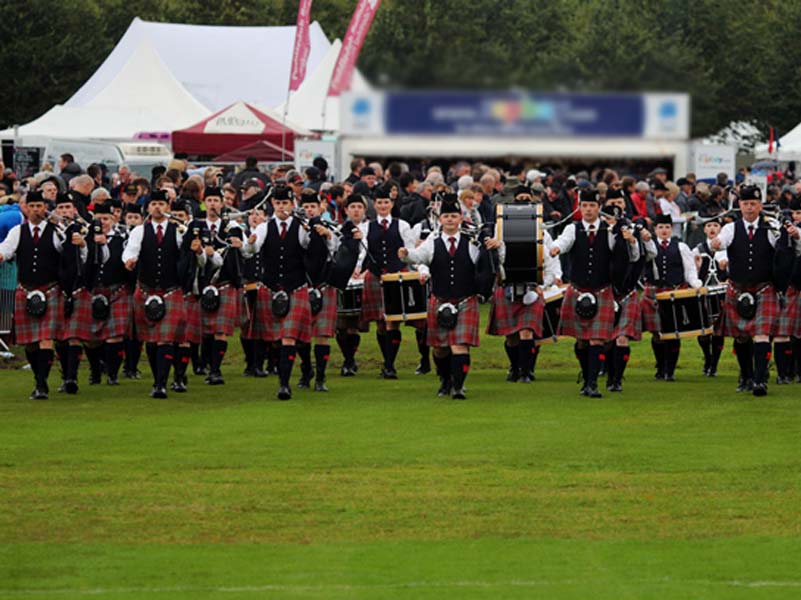 Dowco Triumph Street “ceases competitive operations”