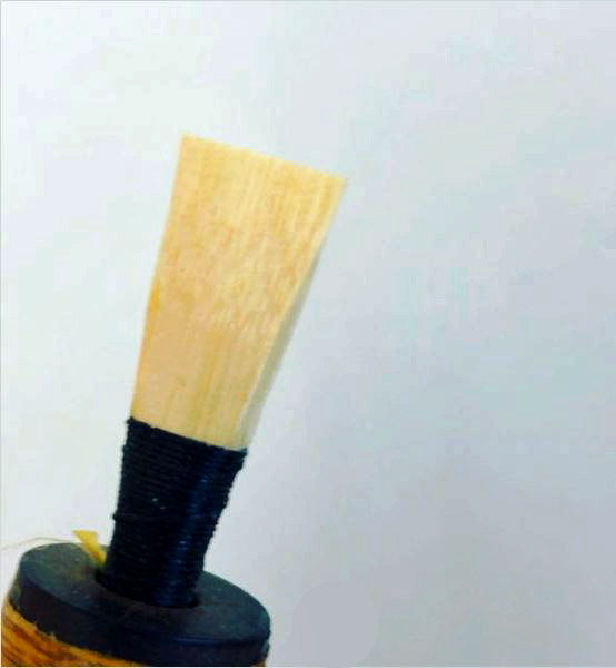The new Canning chanter reed up close.