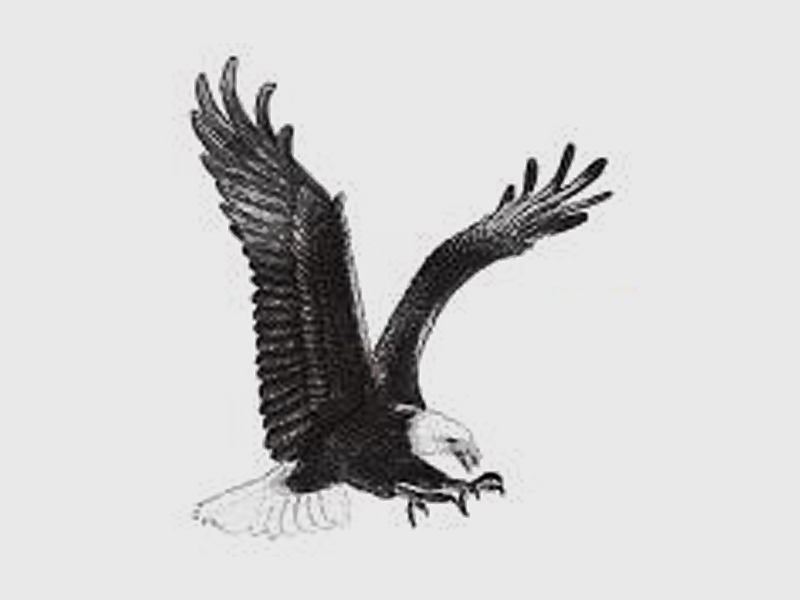 USPF Pros and Amateurs return to Delaware June 10th